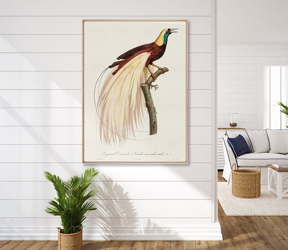 Forest Bird V (Canvas)