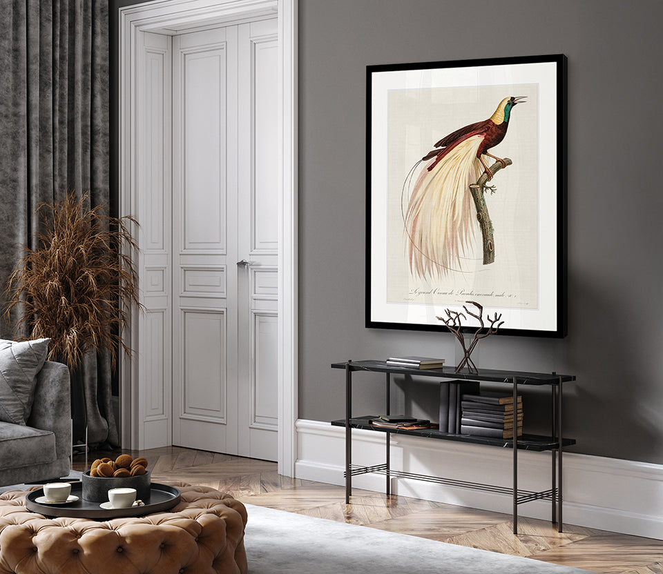 Forest Bird V