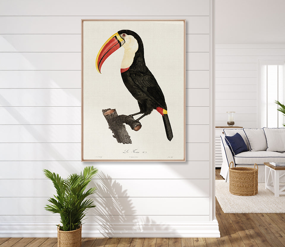 Forest Bird VI (Canvas)