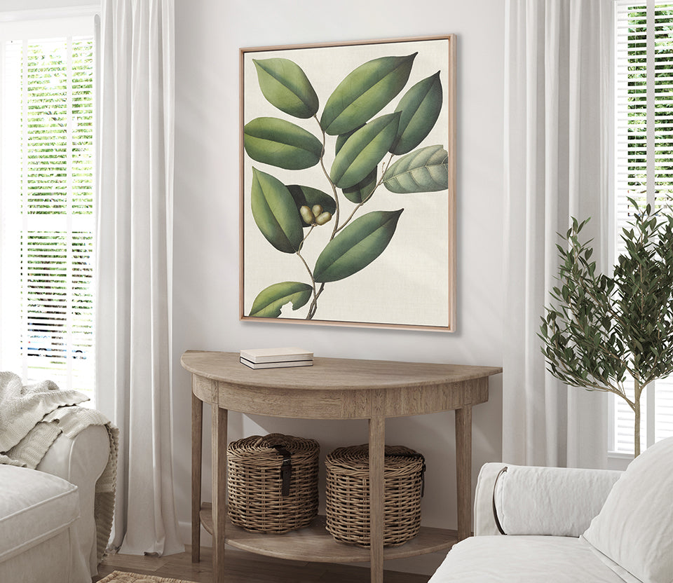 Botanical Specimen III (Canvas)