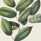 von03_3