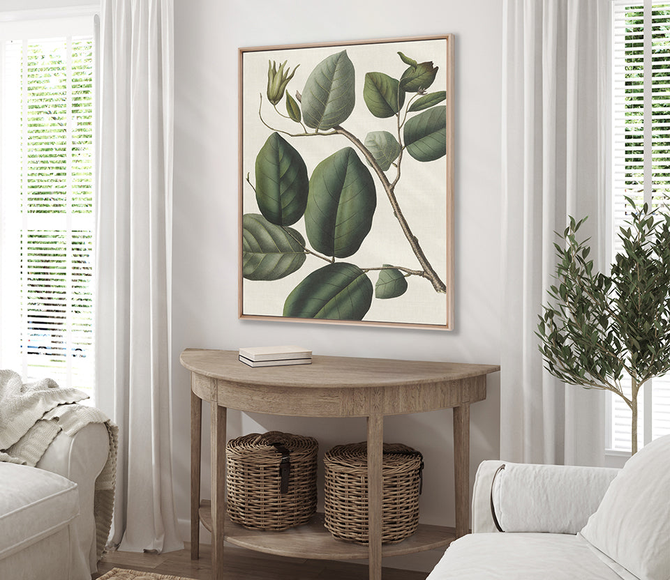 Botanical Specimen IV (Canvas)