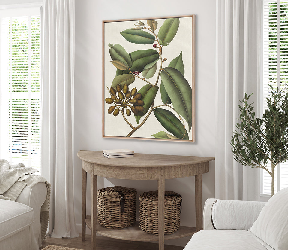 Botanical Specimen V (Canvas)
