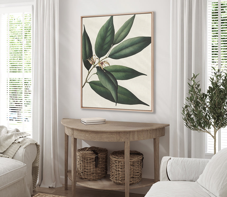 Botanical Specimen VI (Canvas)