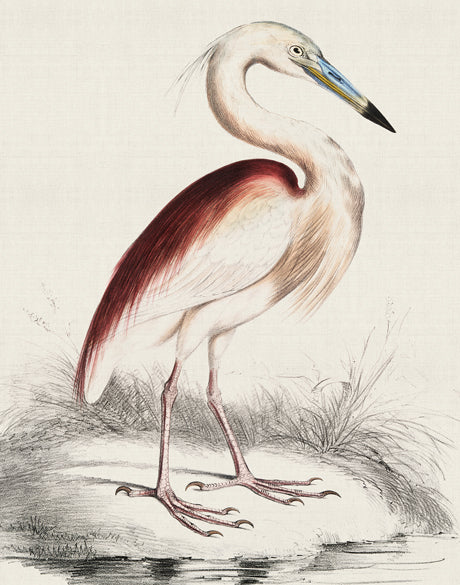 Vintage Waterbird I