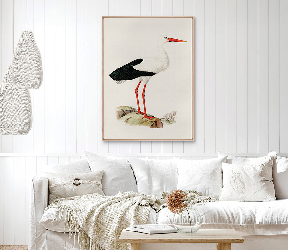 Vintage Waterbird III (Canvas)