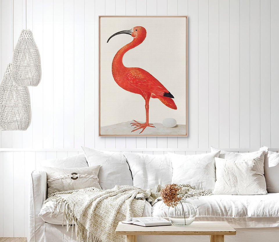 Vintage Waterbird IV (Canvas)