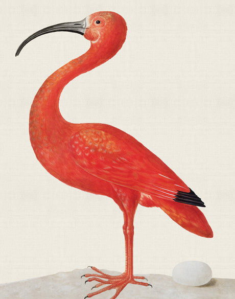 Vintage Waterbird IV