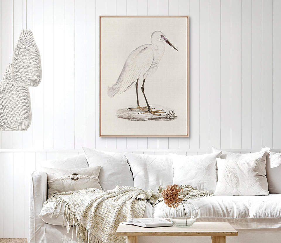 Vintage Waterbird VI (Canvas)
