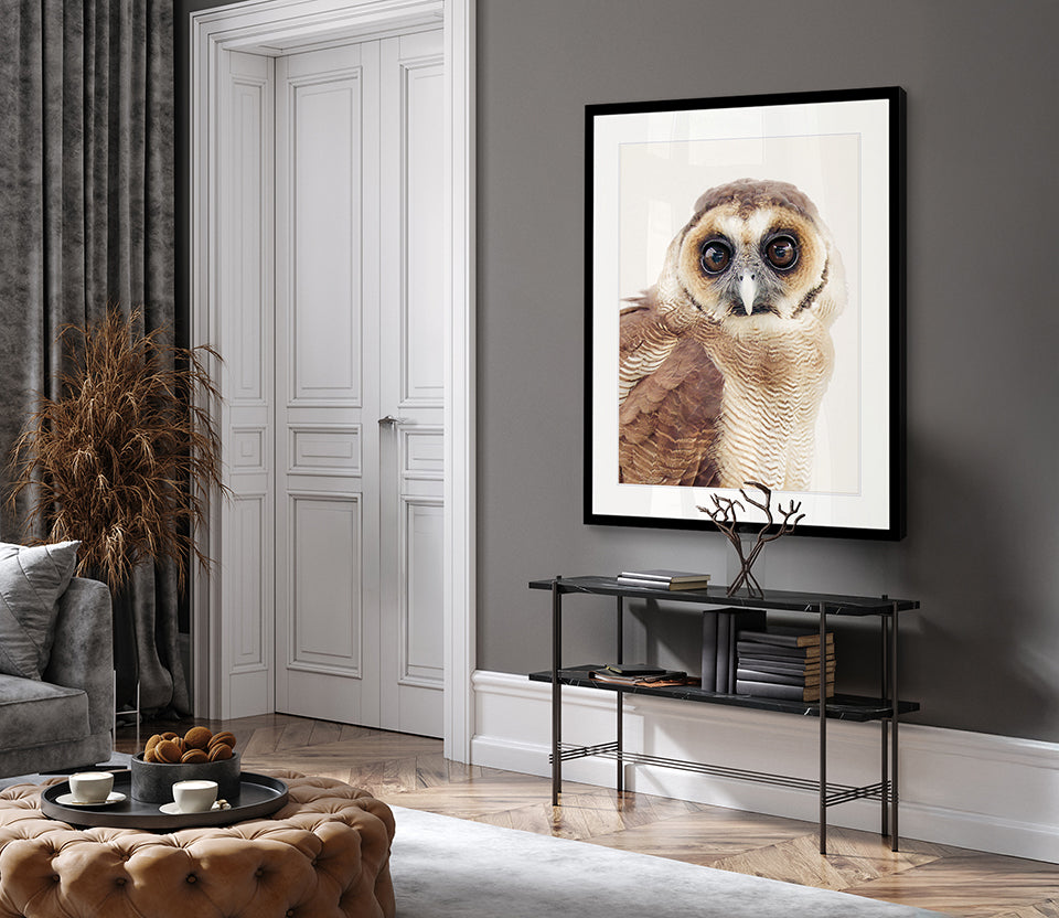 Exquisite Owl II