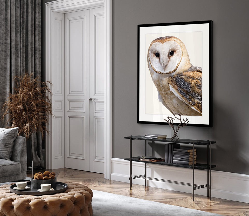 Exquisite Owl IV