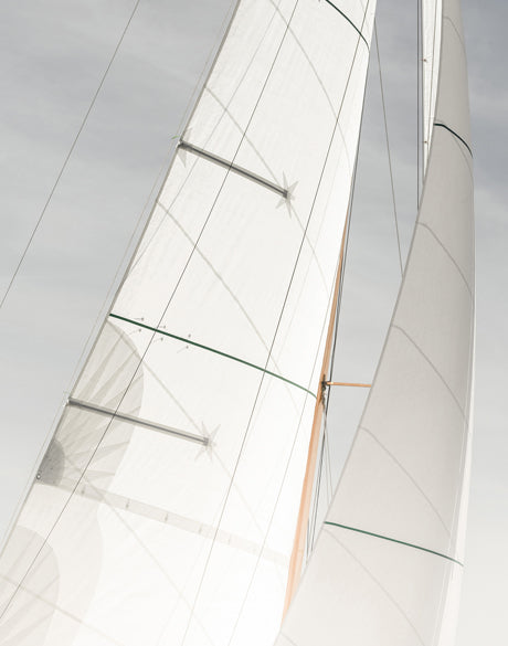 Whittington Sail I