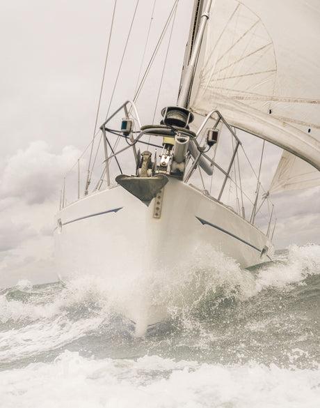Whittington Sail IV (Canvas)