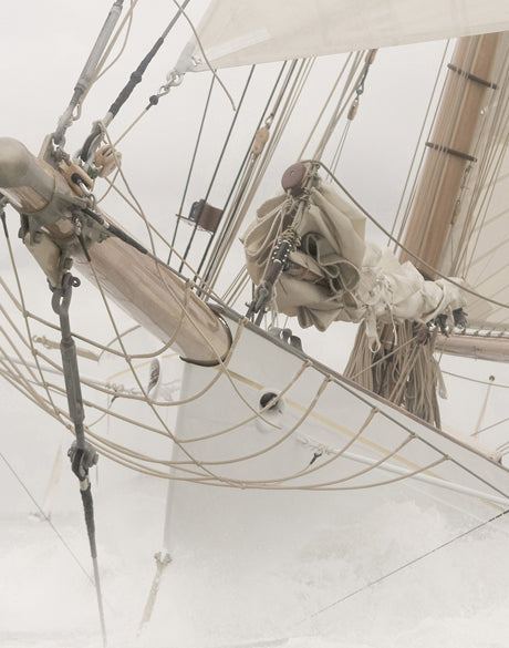 Whittington Sail V