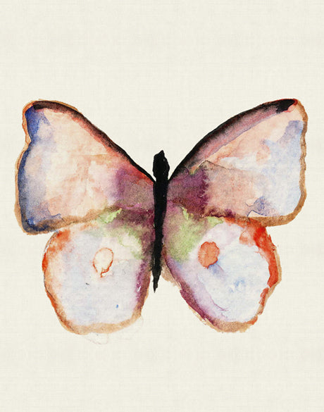 Delicate Butterfly I