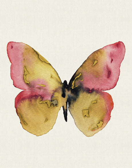 Delicate Butterfly II