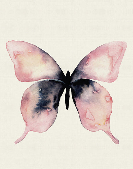 Delicate Butterfly IV