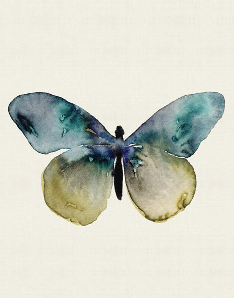 Delicate Butterfly V (Canvas)