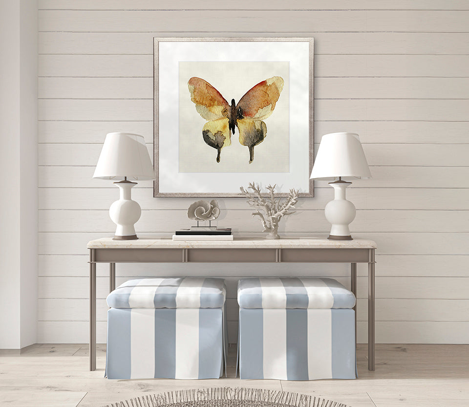 Delicate Butterfly VI