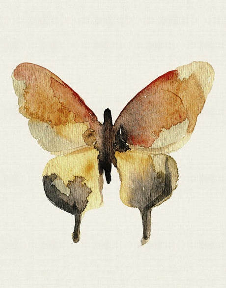 Delicate Butterfly VI