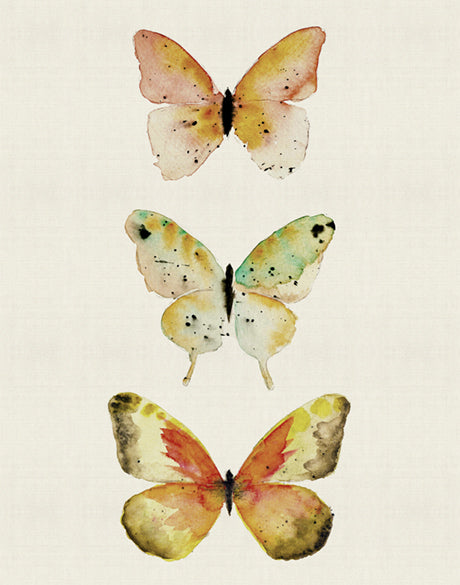 Butterfly Trio VII (Canvas)