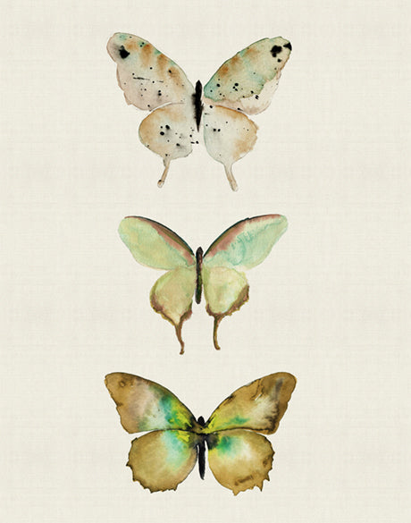 Butterfly Trio III
