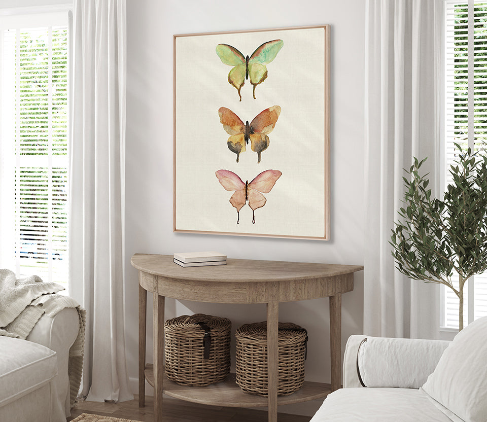 Butterfly Trio IV (Canvas)