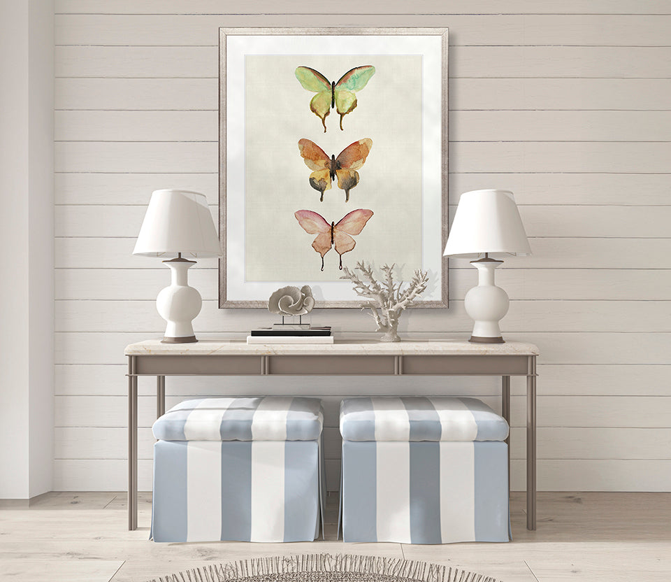 Butterfly Trio IV
