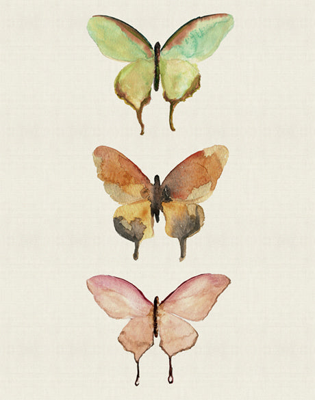Butterfly Trio IV