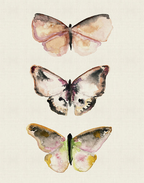 Butterfly Trio V