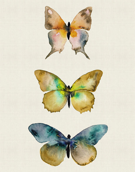Butterfly Trio VI (Canvas)