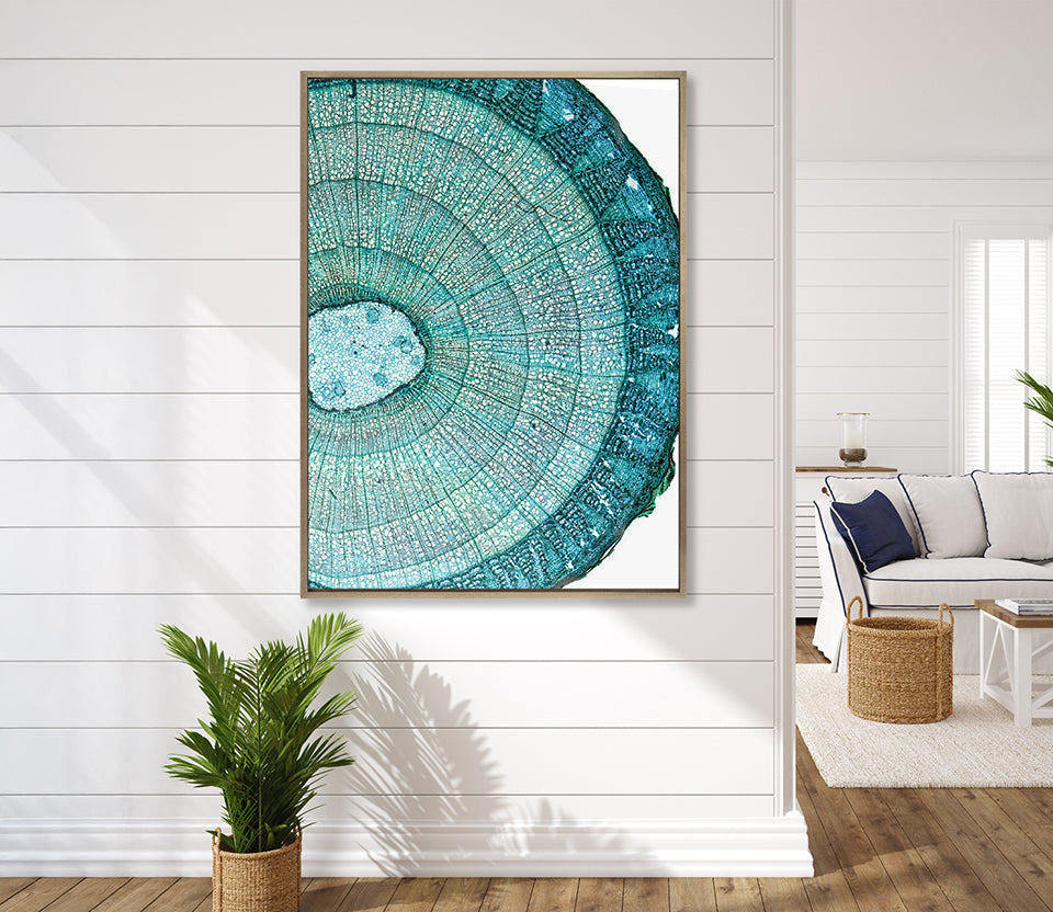 Nature's Abstract I (Canvas)