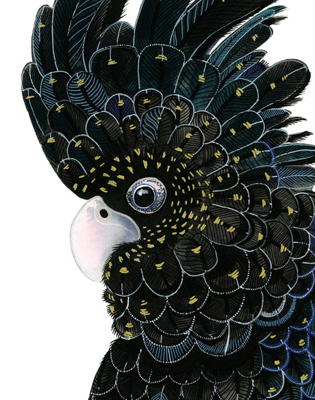 Yanbury Bird VI (Canvas)