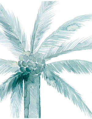 Alamanda Palm Collection