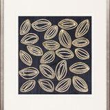 Seedpods