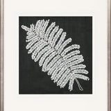 Fern Motif VII