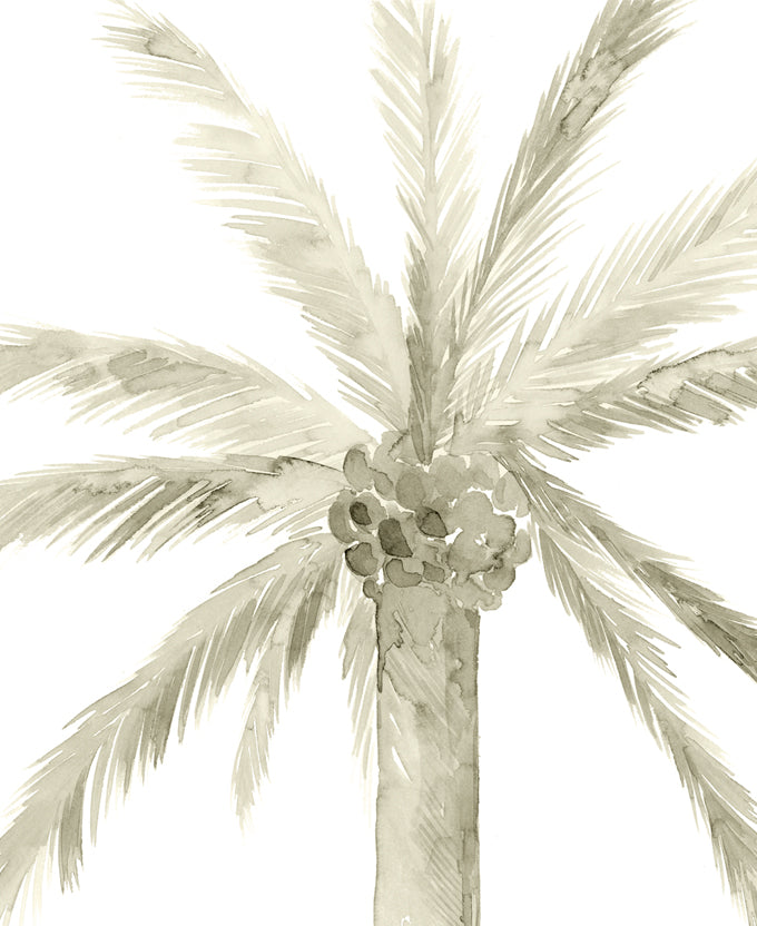 Alamanda Palm I (Canvas)