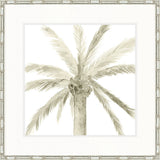 Alamanda Palm I