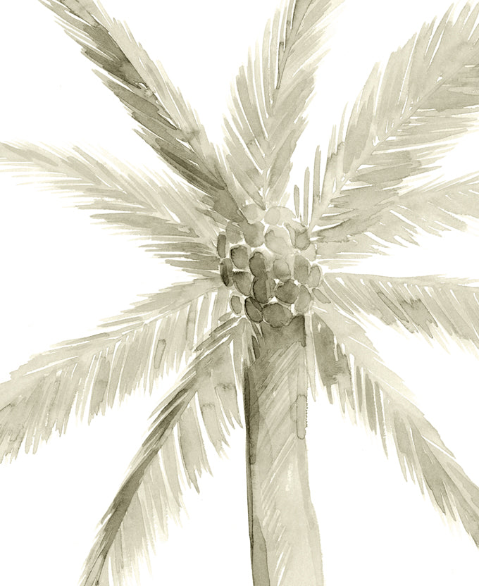 Alamanda Palm IV (Canvas)