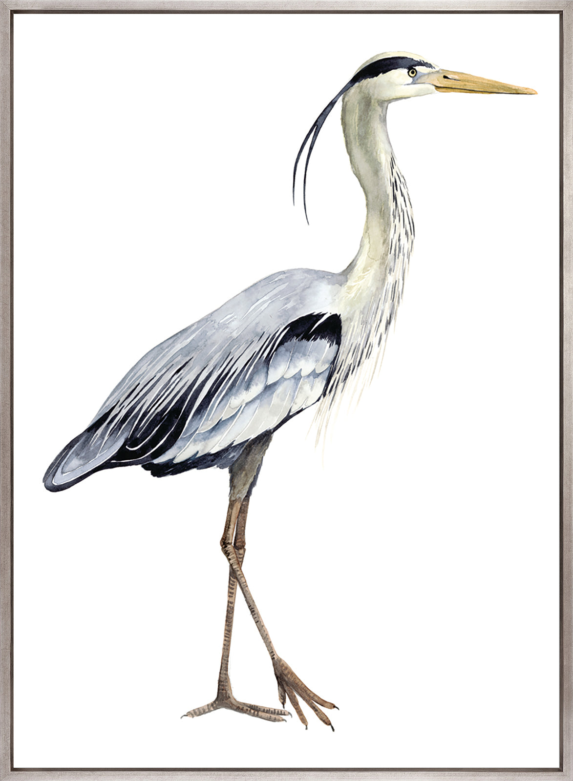 Watercolour Sea Bird I (Canvas)