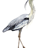 Watercolour Sea Bird I (Canvas) Large (903mm W x 1109mm H)