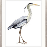Watercolour Sea Bird I