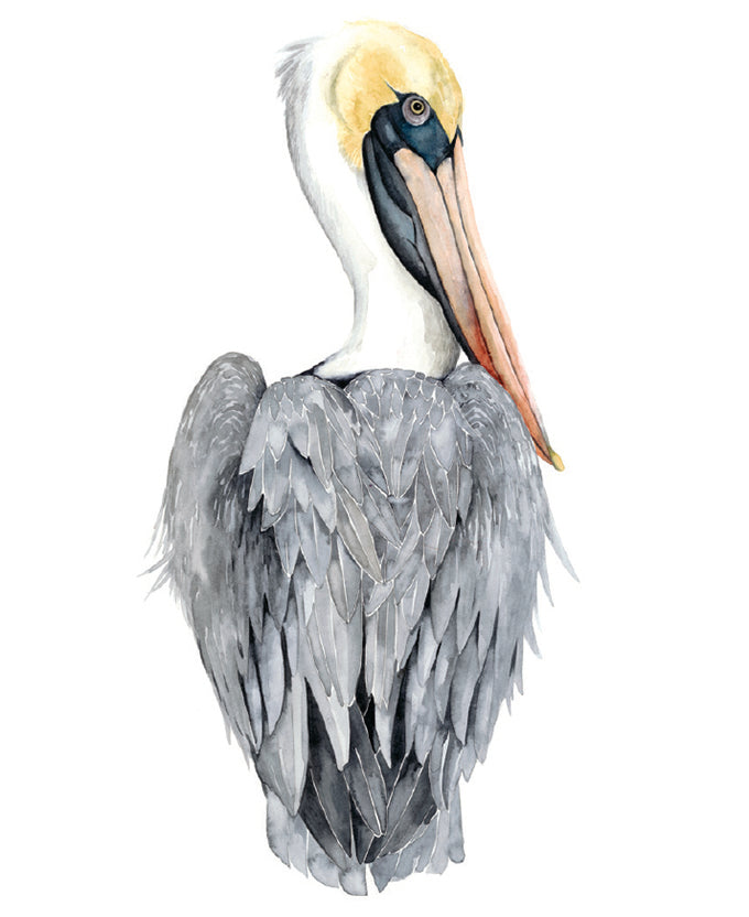 Watercolour Sea Bird II (Canvas)