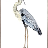 Watercolour Sea Bird III (Canvas) Large (903mm W x 1109mm H)