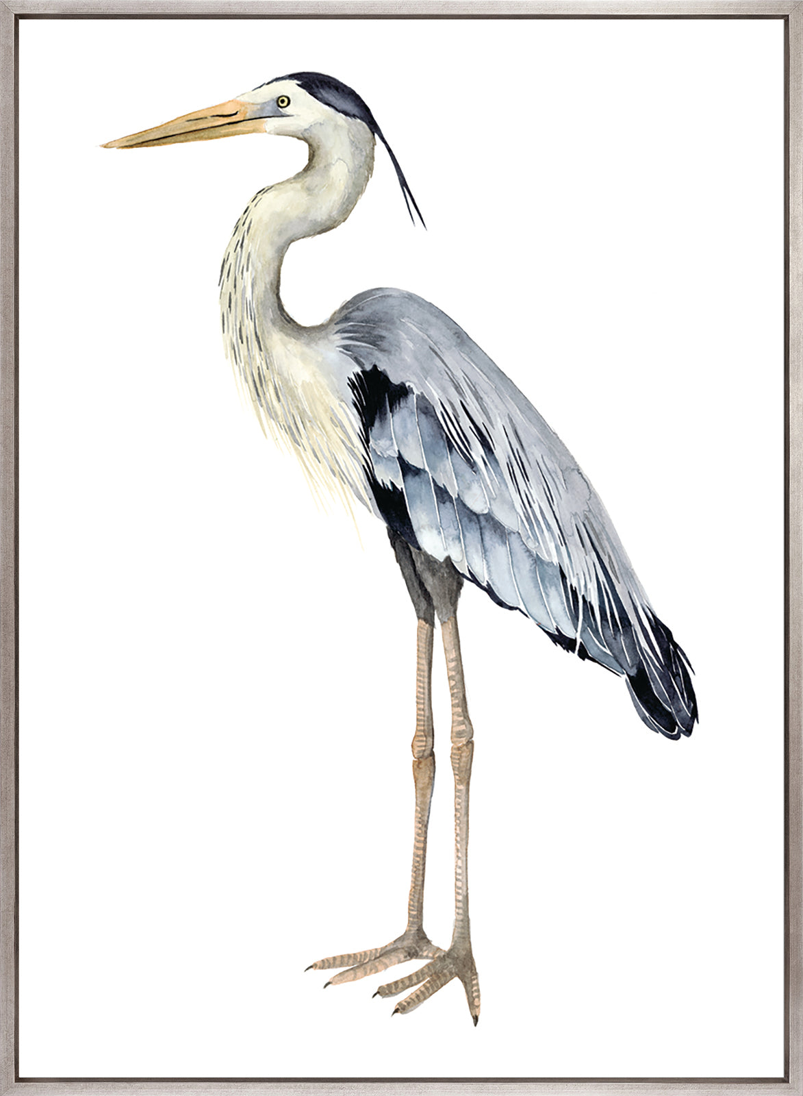 Watercolour Sea Bird III (Canvas)