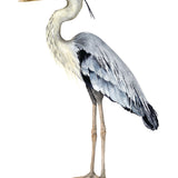 Watercolour Sea Bird III (Canvas) Large (903mm W x 1109mm H)