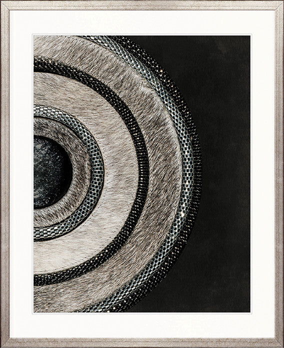 Concentric Circle Print II