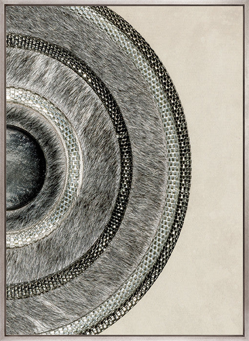 Concentric Circle Print IV (Canvas)