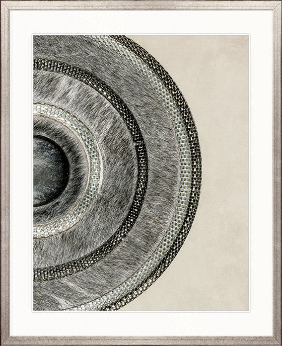 Concentric Circle Print IV
