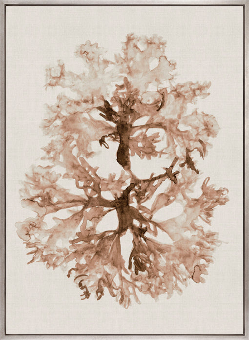 Alderney Coral I (Canvas)